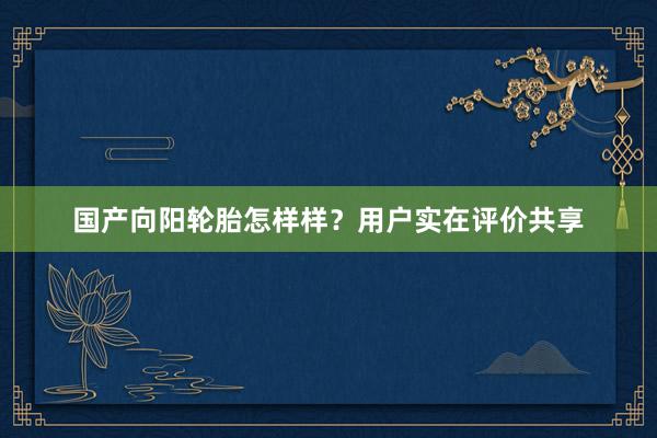 国产向阳轮胎怎样样？用户实在评价共享