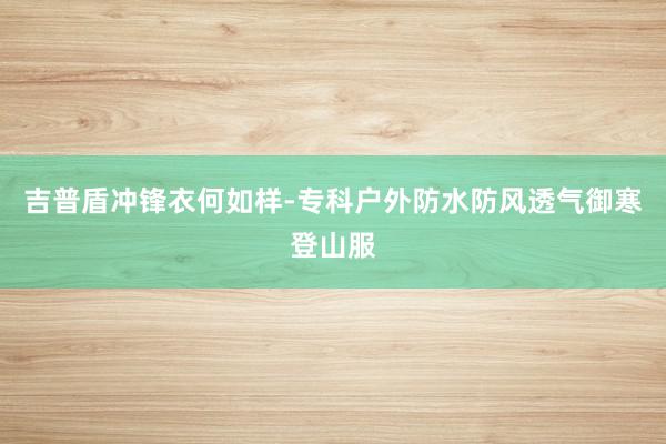 吉普盾冲锋衣何如样-专科户外防水防风透气御寒登山服