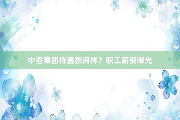 中咨集团待遇奈何样？职工薪资曝光